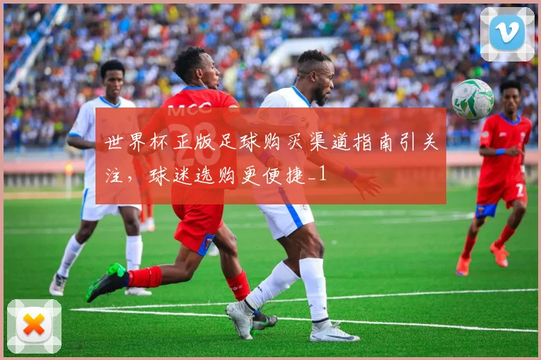 世界杯正版足球购买渠道指南引关注,球迷选购更便捷_1