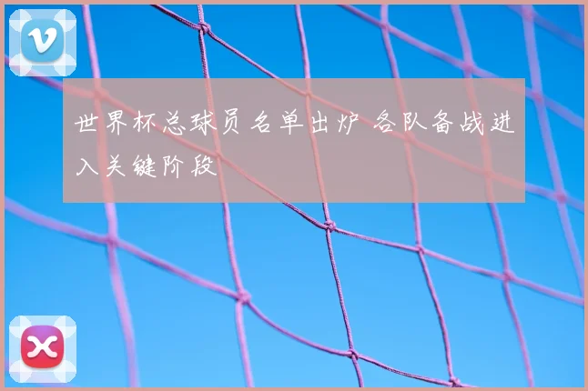 世界杯总球员名单出炉 各队备战进入关键阶段