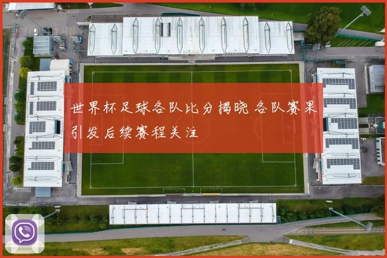 世界杯足球各队比分揭晓 各队赛果引发后续赛程关注