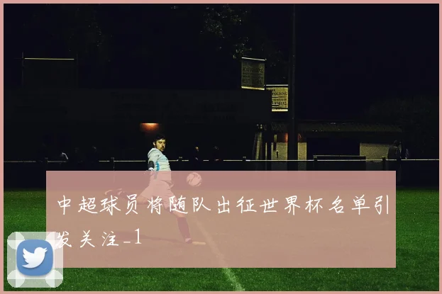 中超球员将随队出征世界杯名单引发关注_1