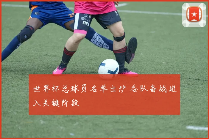世界杯总球员名单出炉 各队备战进入关键阶段