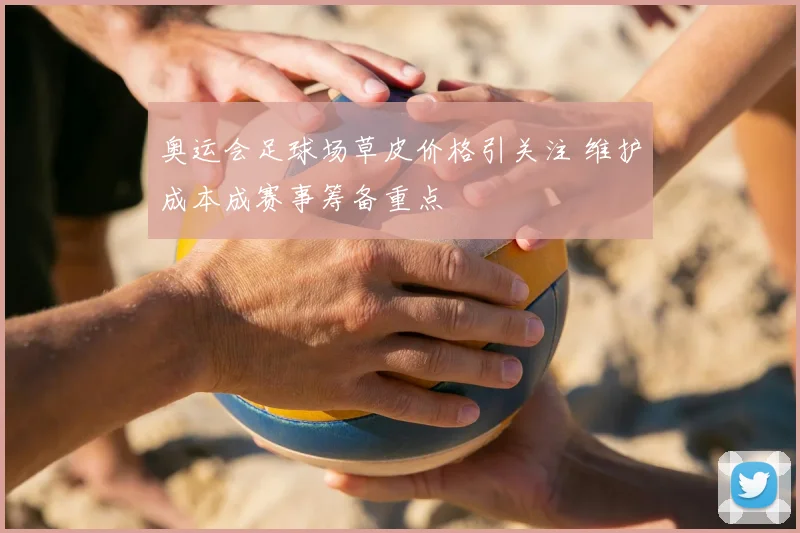 奥运会足球场草皮价格引关注 维护成本成赛事筹备重点