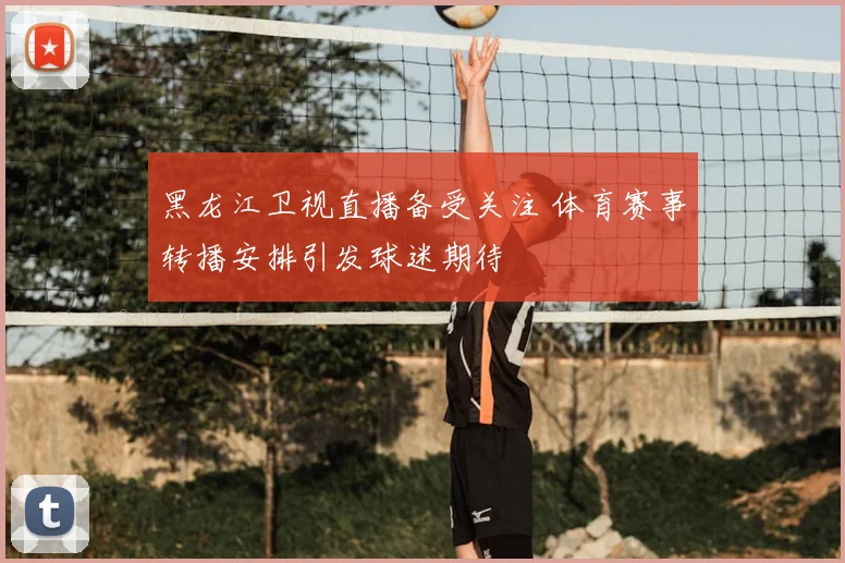 黑龙江卫视直播备受关注 体育赛事转播安排引发球迷期待