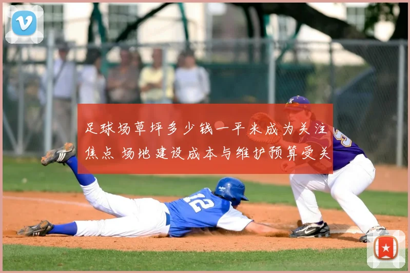 足球场草坪多少钱一平米成为关注焦点 场地建设成本与维护预算受关注