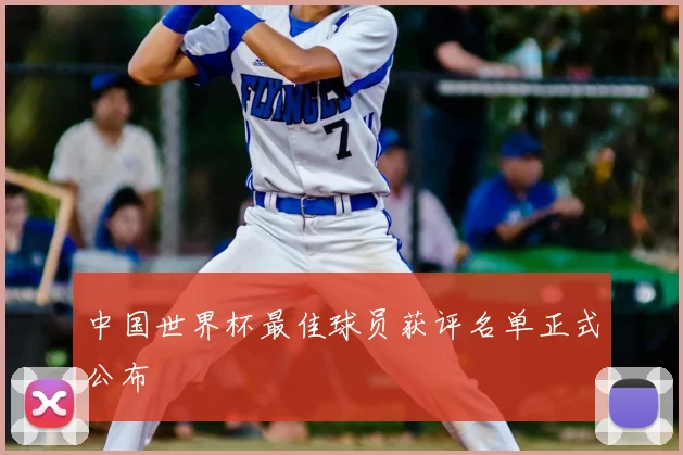 中国世界杯最佳球员获评名单正式公布