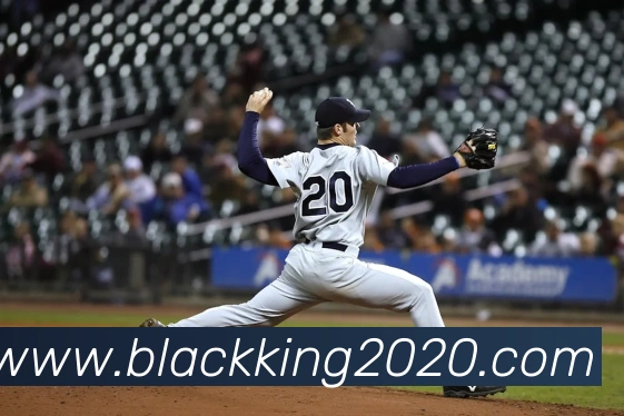 leyu乐鱼官方网站平台生态图