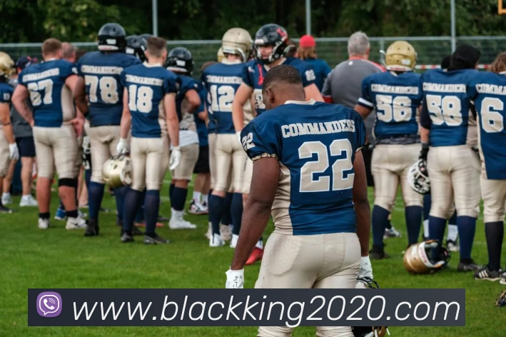 leyu乐鱼官方网站APP 封面图